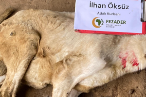  Desteklerimizle Yanlarındayız