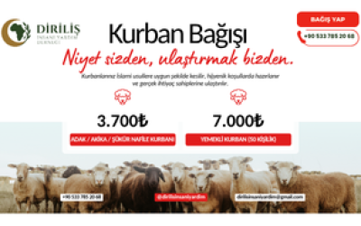 Kurban Bağışı